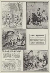 Advertentie, Elliman